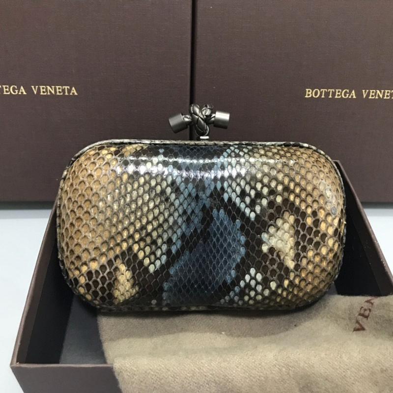 Bottega Veneta Clutches Bags B9602 Snake Skin One